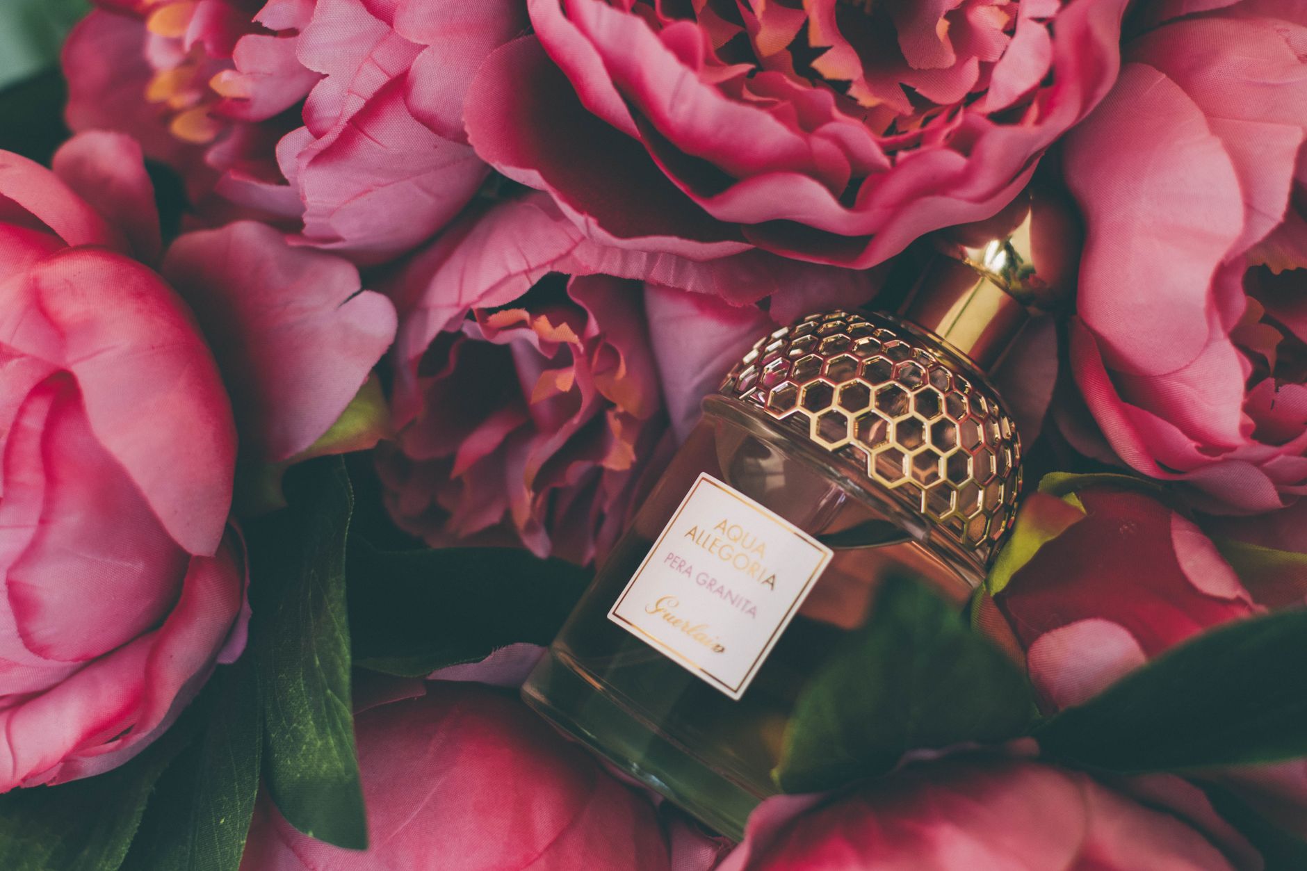 Roses fraîches et flacon de parfum