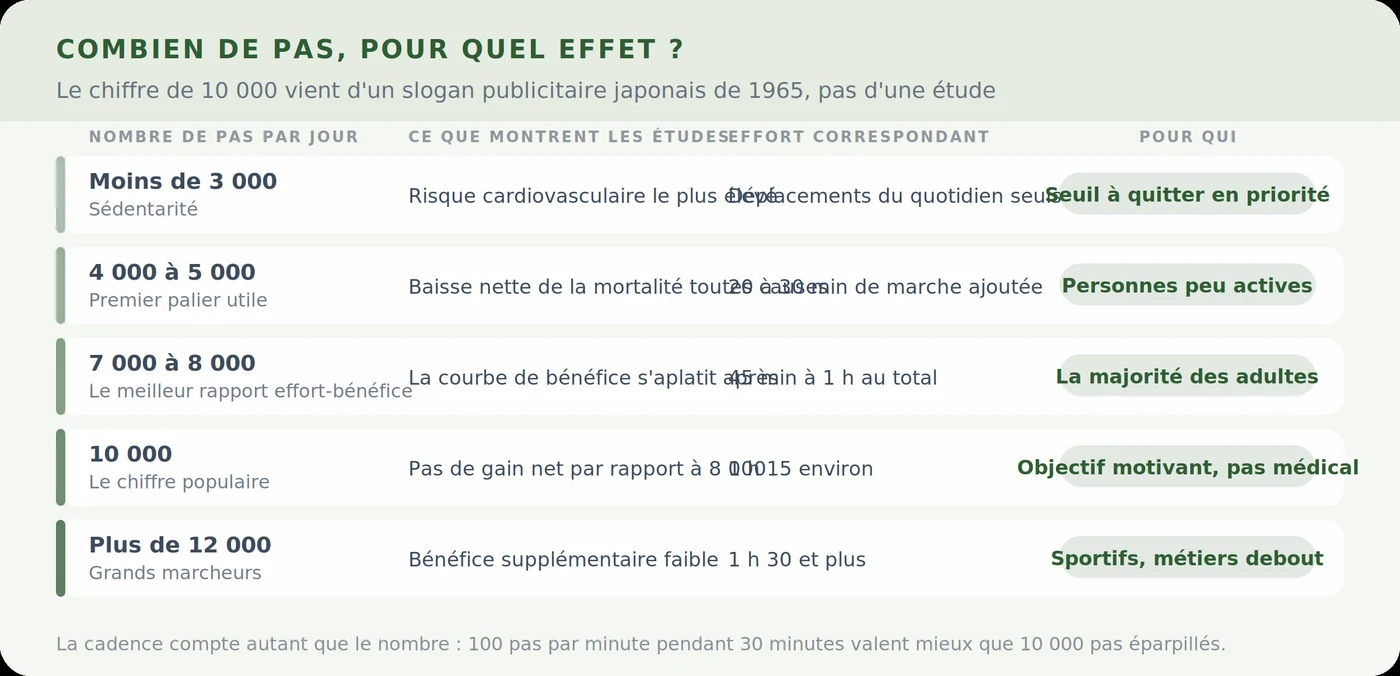 Combien de pas par jour, pour quel effet