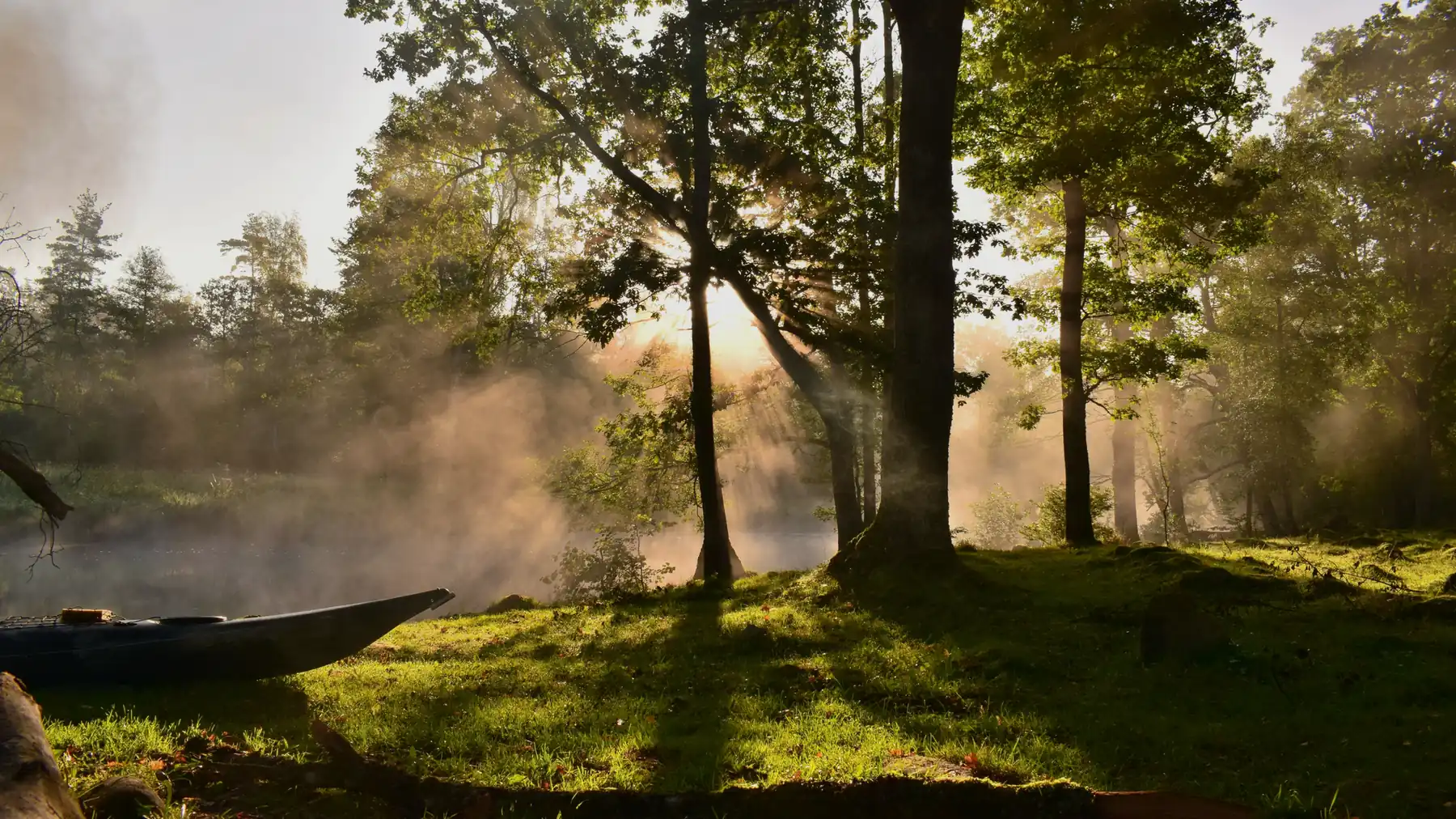 Lumière du matin sur un paysage calme