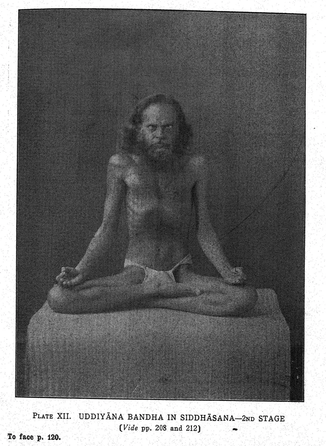 Planche ancienne montrant uddiyana bandha pratiqué en posture assise