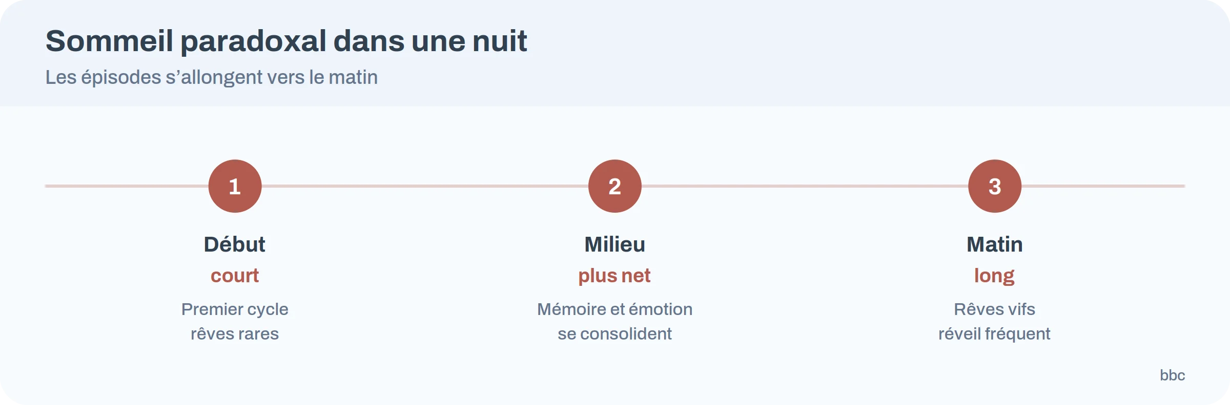 Frise des épisodes de sommeil paradoxal dans une nuit