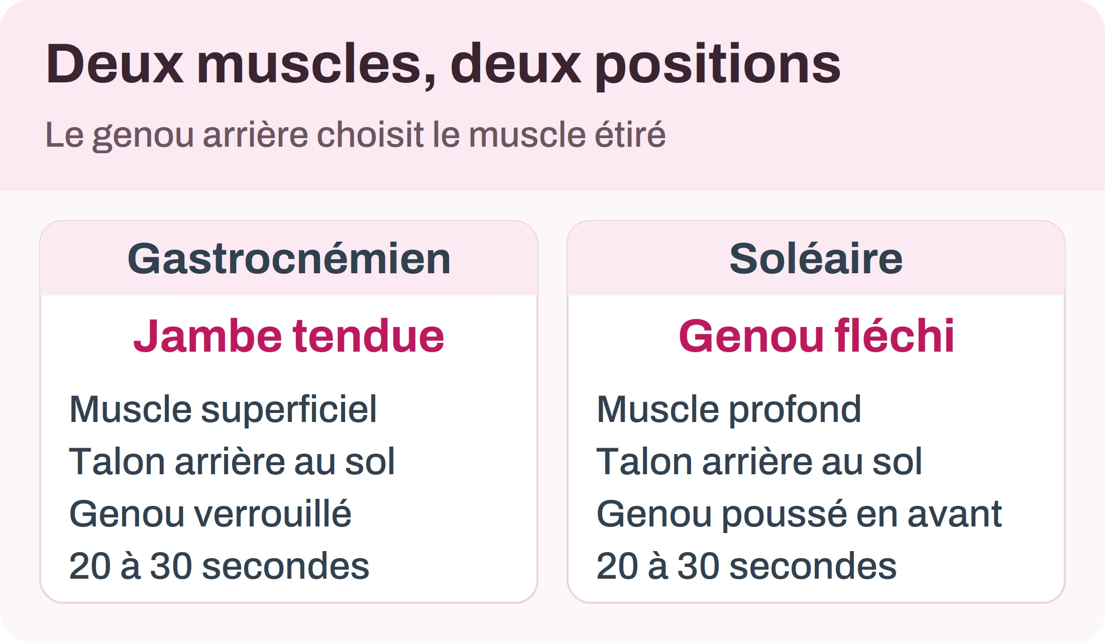 Comparaison des deux étirements du mollet : gastrocnémien jambe tendue, soléaire genou fléchi
